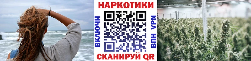 Наркошоп купить Псилоцибиновые грибы  АМФ  Альфа ПВП  МЕФ  COCAIN  Конопля  МЕТАДОН  ГАШ  Пересвет
