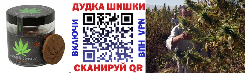 Canna-Cookies конопля  Купить  Пересвет 