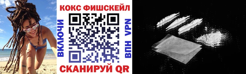 COCAIN Fish Scale  Купить где  Пересвет 