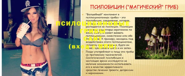 мескалин Лабытнанги