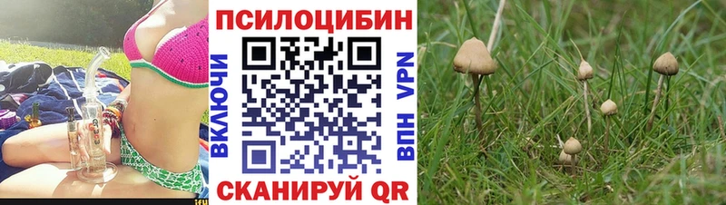 Псилоцибиновые грибы MAGIC MUSHROOMS  Купить закладки  Пересвет 